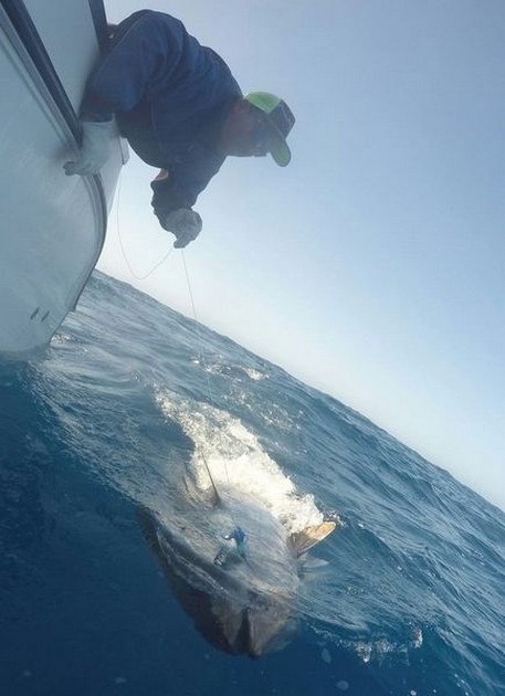  - Cavalier & Blue Marlin Sport Fishing Gran Canaria