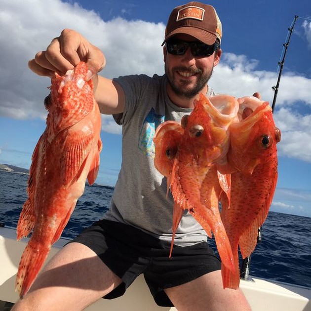 Fire or Scorpion fish Cavalier & Blue Marlin Sport Fishing Gran Canaria