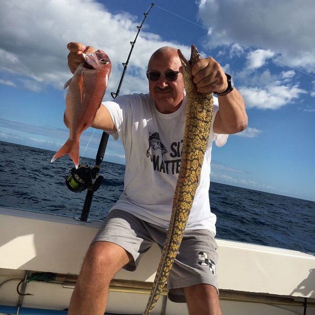 The Bombero Cavalier & Blue Marlin Sport Fishing Gran Canaria