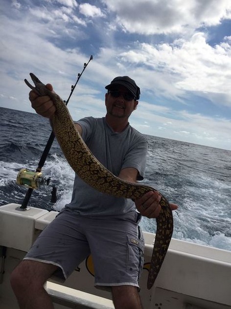 Tiger Moray Cavalier & Blue Marlin Sport Fishing Gran Canaria