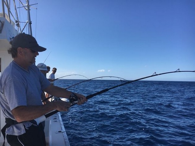 Hooked up Cavalier & Blue Marlin Sport Fishing Gran Canaria