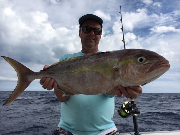 Amberjack Cavalier & Blue Marlin Sport Fishing Gran Canaria