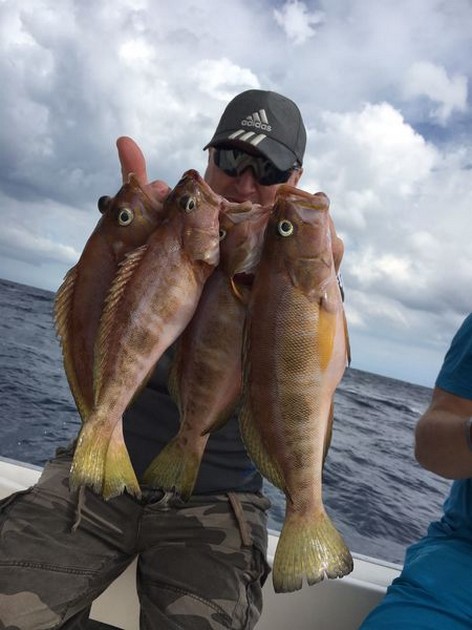 Combers - Nice catch of Comber fish Cavalier & Blue Marlin Sport Fishing Gran Canaria