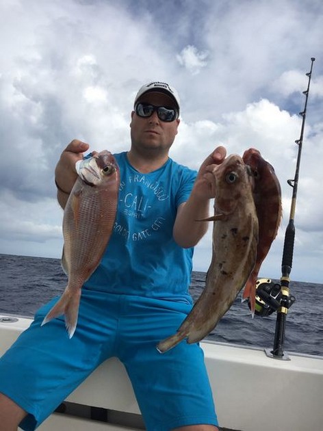 Well done Cavalier & Blue Marlin Sport Fishing Gran Canaria