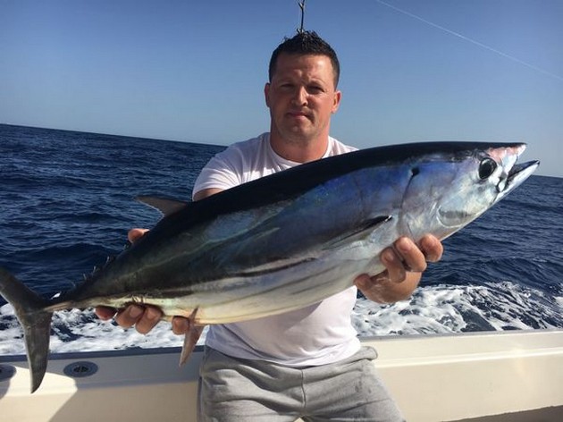 Skipjack Tuna Cavalier & Blue Marlin Sport Fishing Gran Canaria