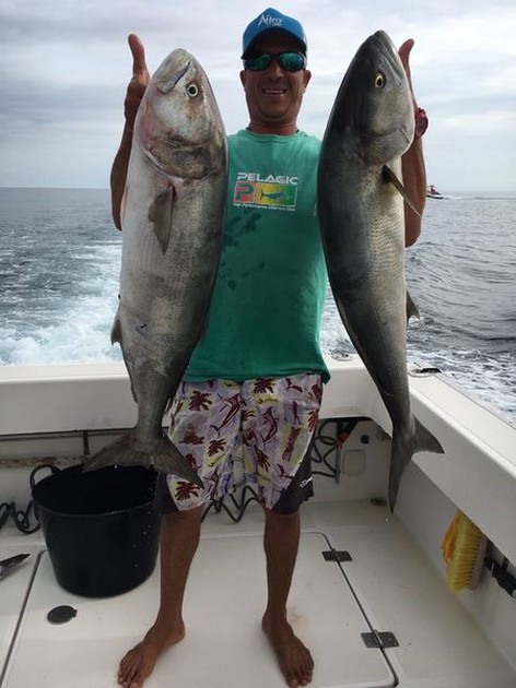 Blue fish Cavalier & Blue Marlin Sport Fishing Gran Canaria