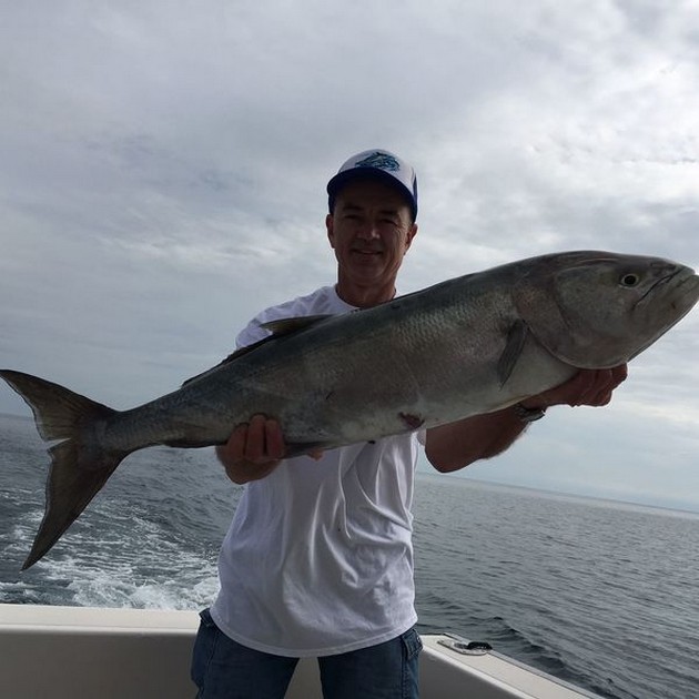 Blue fish caught by Peter Schuurbiers from Holland Cavalier & Blue Marlin Sport Fishing Gran Canaria