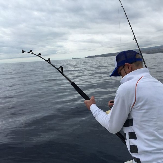 Hooked up Cavalier & Blue Marlin Sport Fishing Gran Canaria
