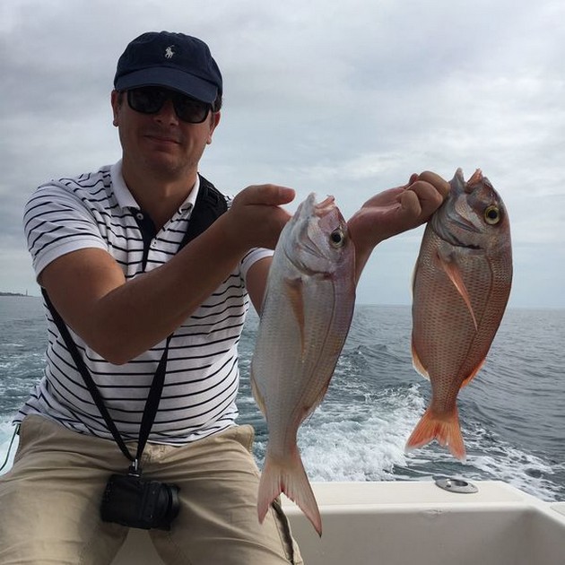 Red Snappers caught by Thomas Rieck from Germany Cavalier & Blue Marlin Sport Fishing Gran Canaria