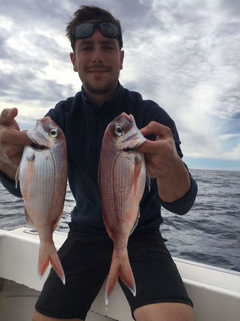 Seabreams Cavalier & Blue Marlin Sport Fishing Gran Canaria