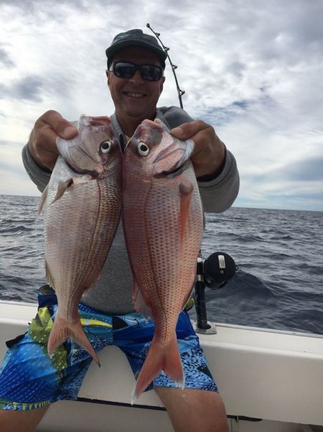 Sea Breams Cavalier & Blue Marlin Sport Fishing Gran Canaria