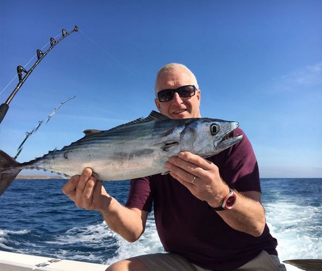 Atlantic Bonito - North Atlantic Bonito caught by Trevor Smith from England Cavalier & Blue Marlin Sport Fishing Gran Canaria