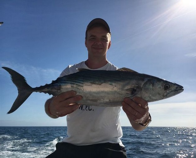 Atlantic Bonito - North Atlantic Bonito caught by Ulf Kullas from Finland Cavalier & Blue Marlin Sport Fishing Gran Canaria
