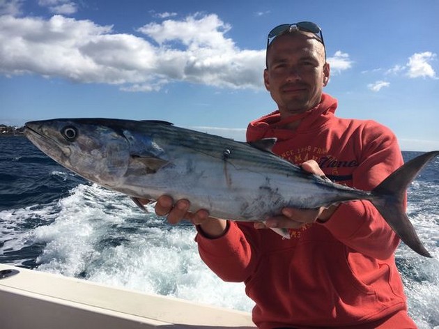 Atlantic Bonito caught by Tomas Dambrauskas from Lituania Cavalier & Blue Marlin Sport Fishing Gran Canaria