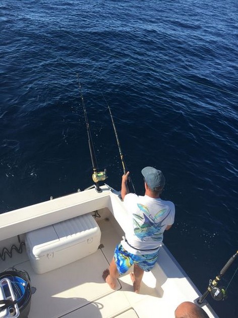 Hooked Up Cavalier & Blue Marlin Sport Fishing Gran Canaria