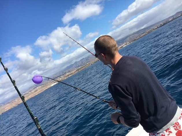 Hooked Up Cavalier & Blue Marlin Sport Fishing Gran Canaria
