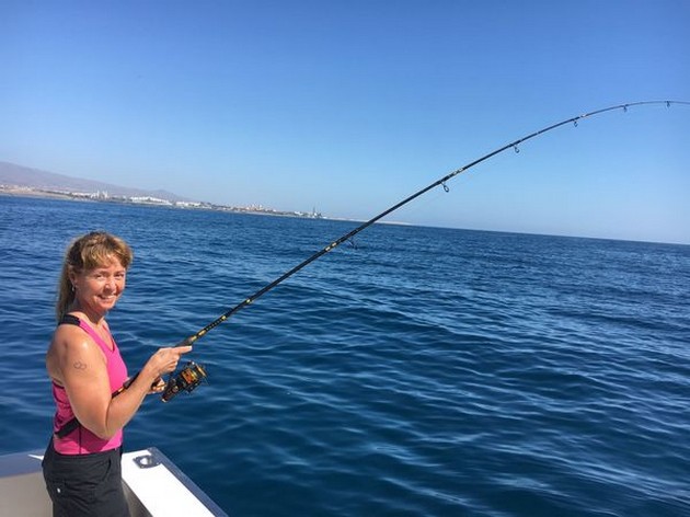 Hooked up Cavalier & Blue Marlin Sport Fishing Gran Canaria