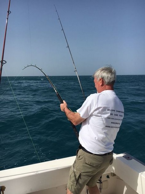 Hooked Up Cavalier & Blue Marlin Sport Fishing Gran Canaria