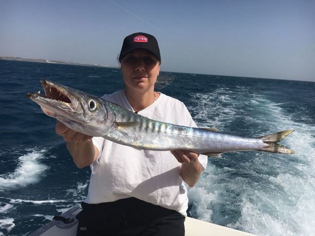 Barracuda Cavalier & Blue Marlin Sport Fishing Gran Canaria