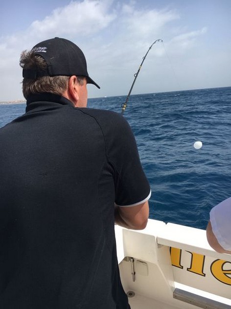 Hooked Up Cavalier & Blue Marlin Sport Fishing Gran Canaria