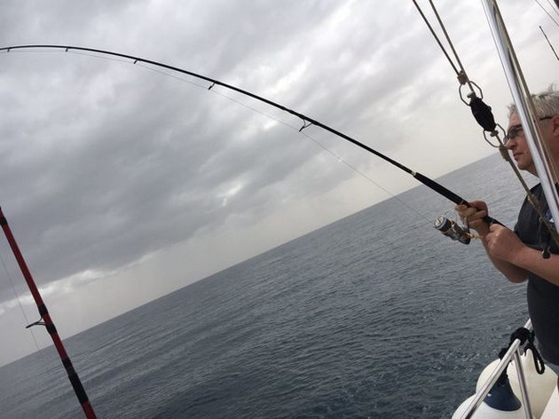 Fish !!!!!!!! Cavalier & Blue Marlin Sport Fishing Gran Canaria