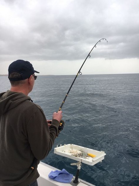 Hooked Up Cavalier & Blue Marlin Sport Fishing Gran Canaria