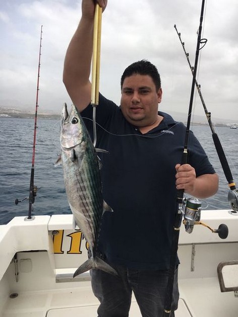 Well done Cavalier & Blue Marlin Sport Fishing Gran Canaria