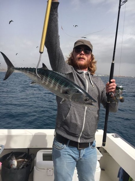 Congratulations Cavalier & Blue Marlin Sport Fishing Gran Canaria