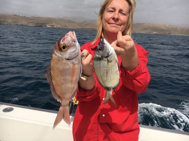 Nice Catch Cavalier & Blue Marlin Sport Fishing Gran Canaria