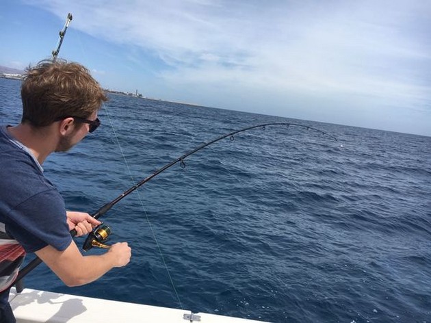 Hooked up Cavalier & Blue Marlin Sport Fishing Gran Canaria