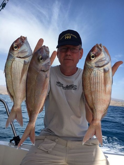 Red Snappers Cavalier & Blue Marlin Sport Fishing Gran Canaria