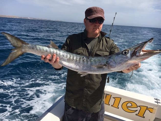 Barracuda Cavalier & Blue Marlin Sport Fishing Gran Canaria