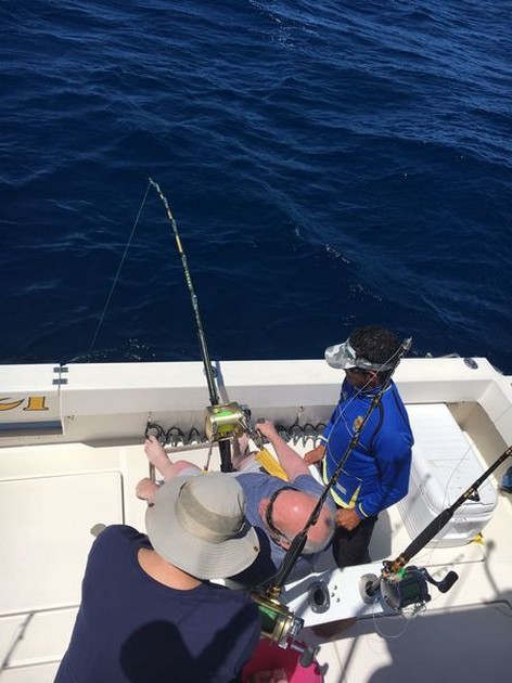 March Photo Archive 2017 Cavalier & Blue Marlin Sport Fishing Gran Canaria