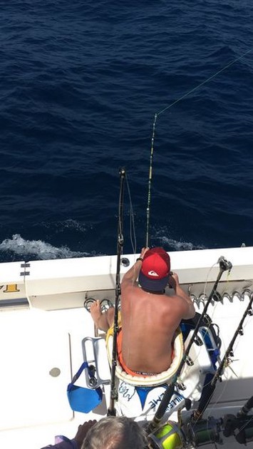 Hooked Up Cavalier & Blue Marlin Sport Fishing Gran Canaria