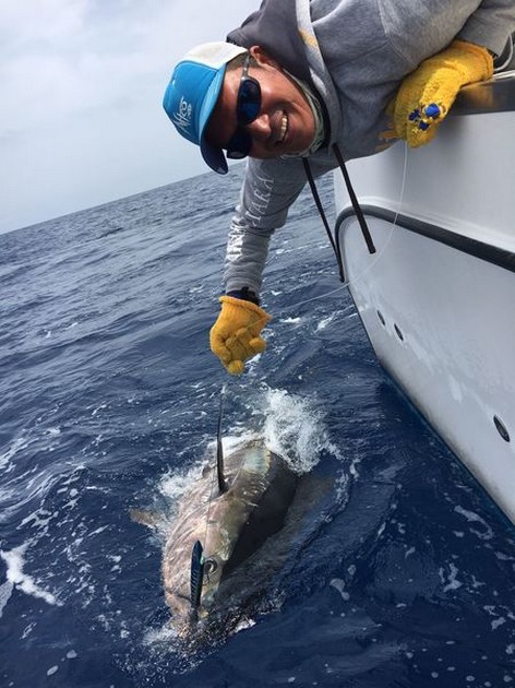Release Me! Cavalier & Blue Marlin Sport Fishing Gran Canaria