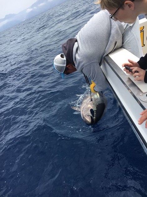 Congratulations  250 kg Bluefin Tuna Cavalier & Blue Marlin Sport Fishing Gran Canaria