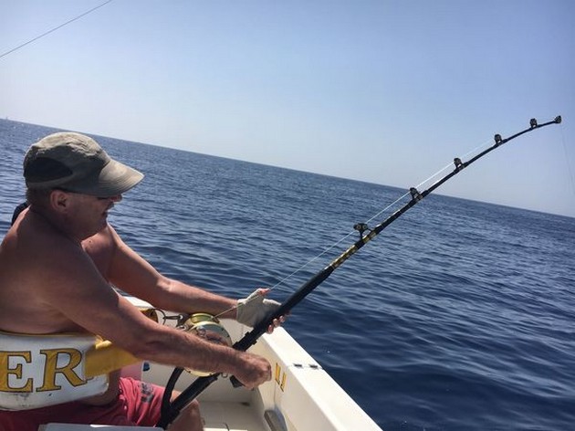 Hooked up - Siegfried Schmidt from Germany hooked up! Cavalier & Blue Marlin Sport Fishing Gran Canaria