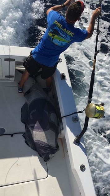  - Cavalier & Blue Marlin Sport Fishing Gran Canaria