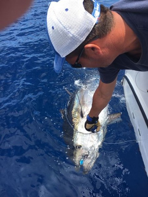 Bluefin Tuna Cavalier & Blue Marlin Sport Fishing Gran Canaria