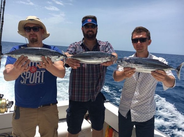 Skipjack Tuna Cavalier & Blue Marlin Sport Fishing Gran Canaria