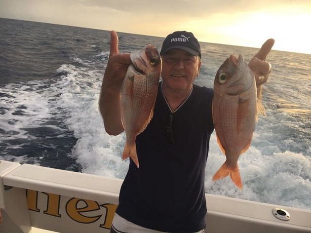 Red Snappers Cavalier & Blue Marlin Sport Fishing Gran Canaria