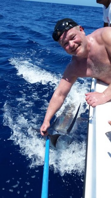 120 kg Blue Marlin Cavalier & Blue Marlin Sport Fishing Gran Canaria
