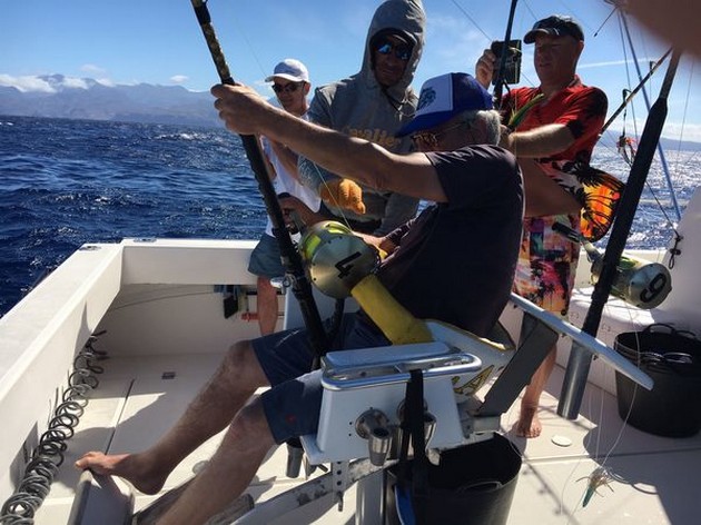 Blue Marlin 330 lbs Cavalier & Blue Marlin Sport Fishing Gran Canaria
