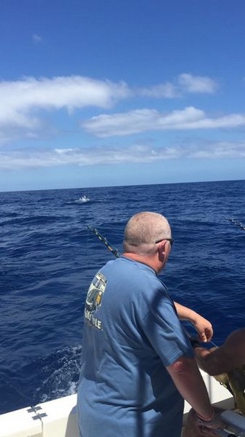 Hooked Up Cavalier & Blue Marlin Sport Fishing Gran Canaria