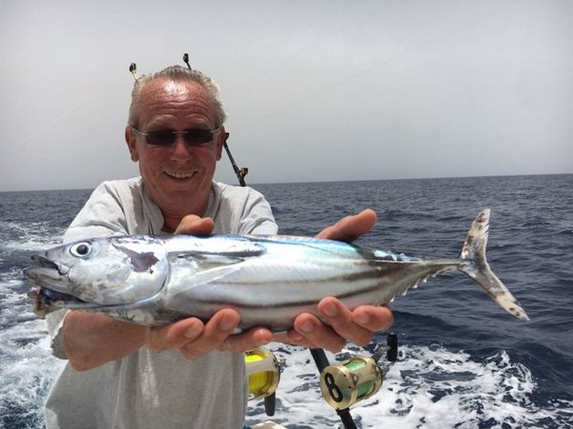 Skipjack Tuna Cavalier & Blue Marlin Sport Fishing Gran Canaria