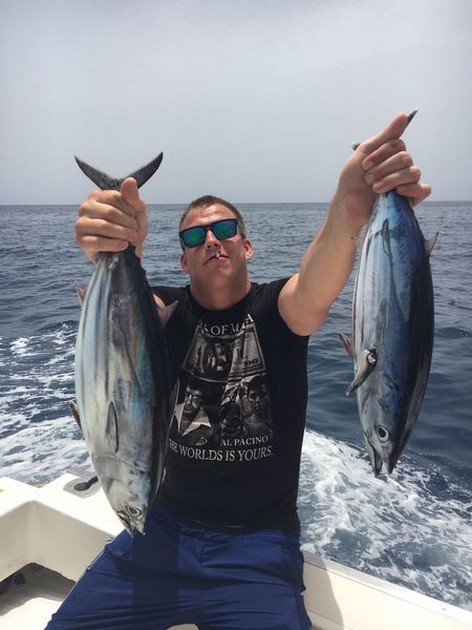 Måttliga fångster under de senaste veckorna Cavalier & Blue Marlin Sport Fishing Gran Canaria