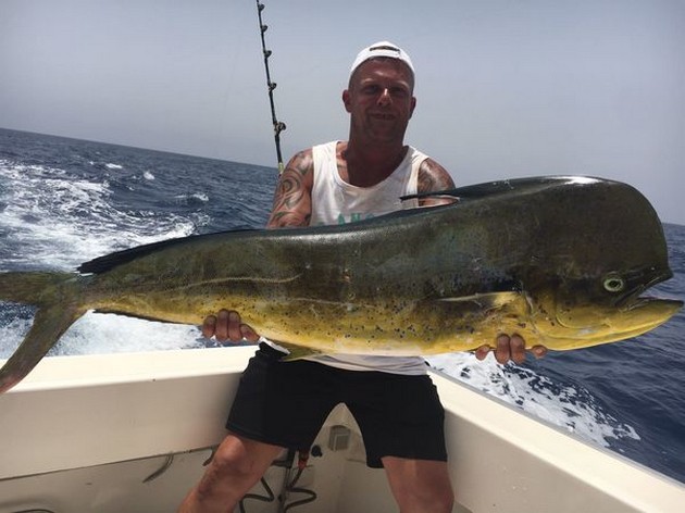 Dorado Cavalier & Blue Marlin Sport Fishing Gran Canaria