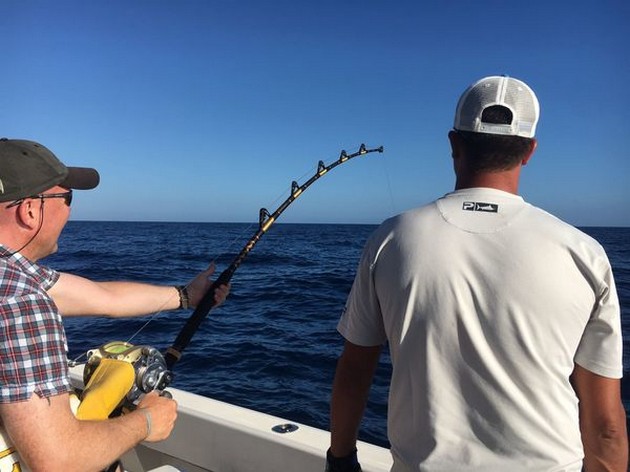 Hooked Up Cavalier & Blue Marlin Sport Fishing Gran Canaria
