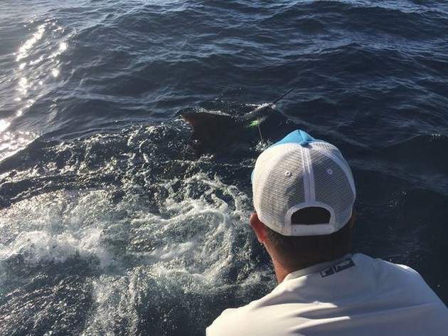 Yessssssssssssss Cavalier & Blue Marlin Sport Fishing Gran Canaria