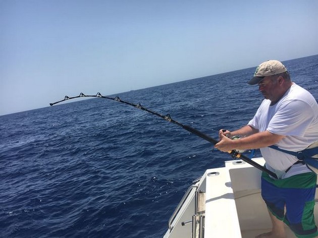 Hooked up Cavalier & Blue Marlin Sport Fishing Gran Canaria